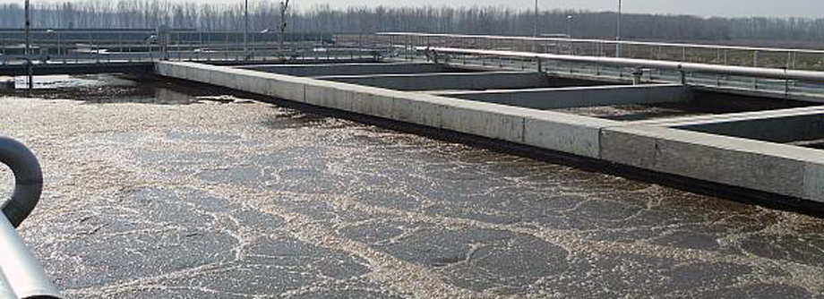 Engineering, Design & Construction of Craiova Wastewater Treatment Plant